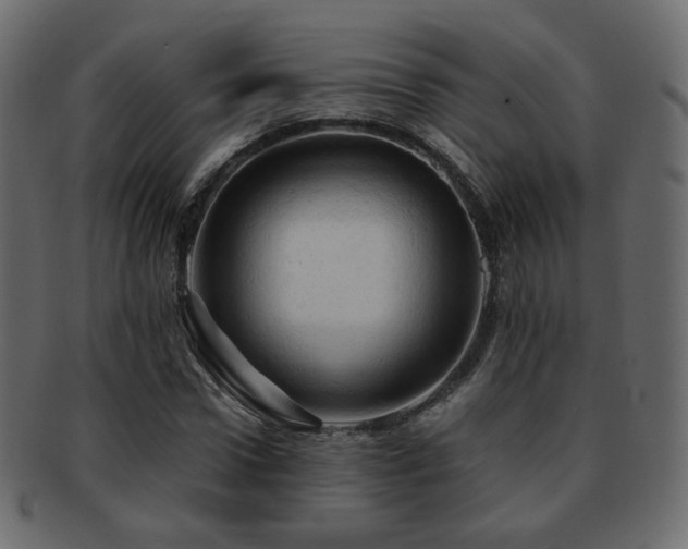 X0000092310922200709141350