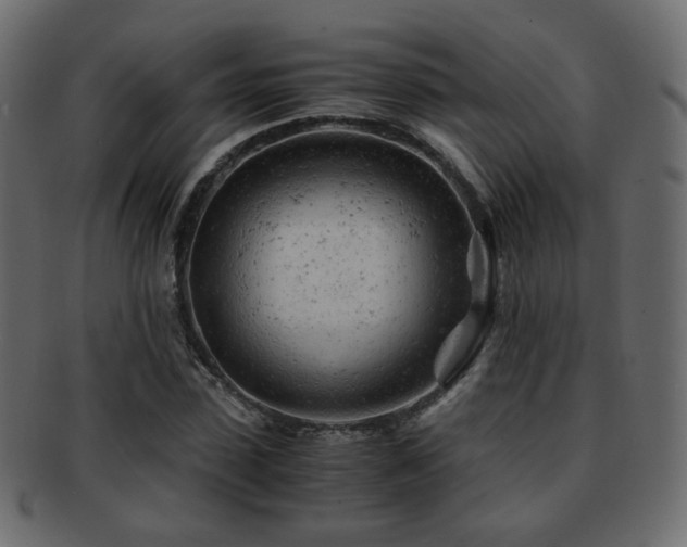 X0000092310923200709141350