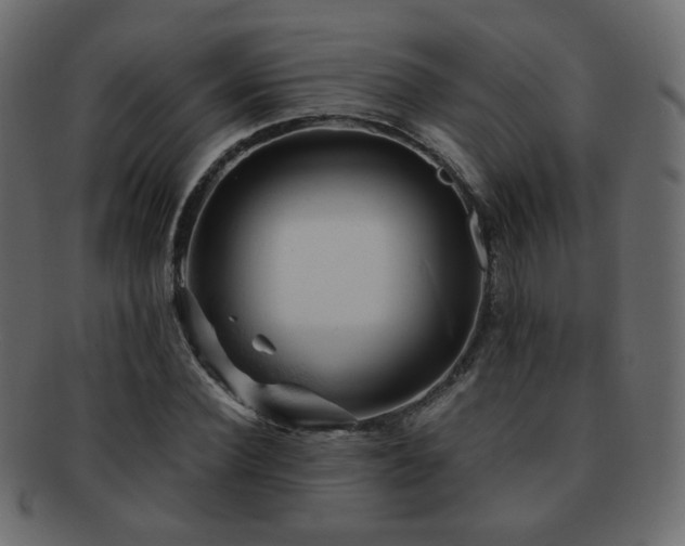 X0000092310924200709141350