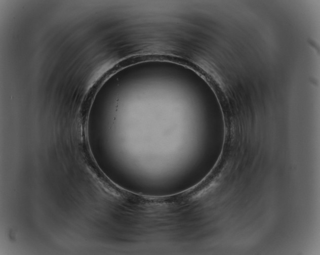 X0000092310925200709141350