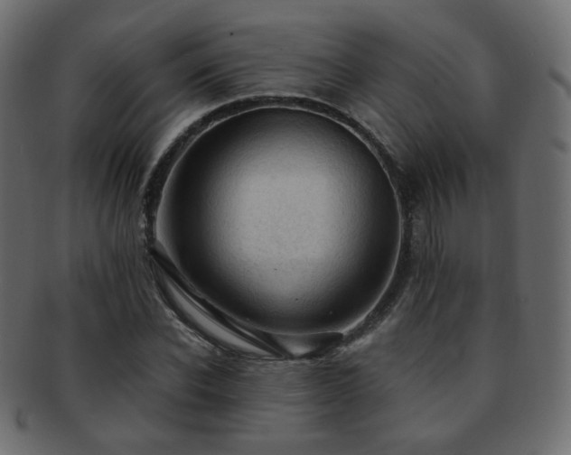 X0000092310926200709141350