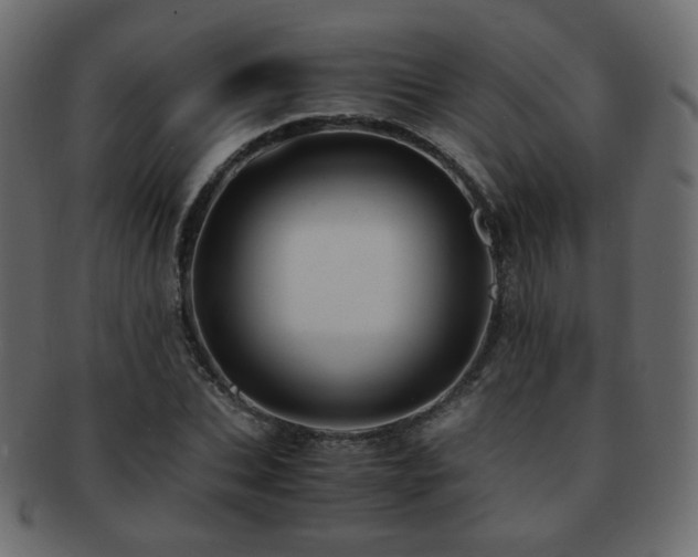 X0000092310927200709141350