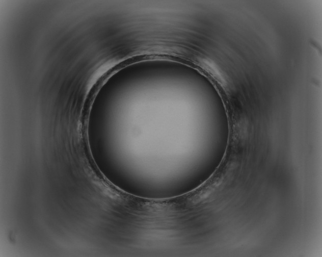 X0000092310928200709141350