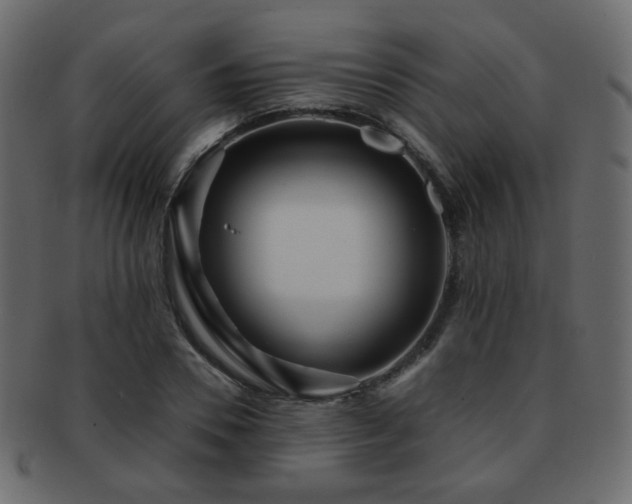 X0000092310930200709141350