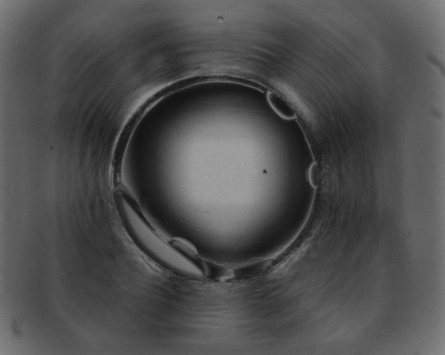 X0000092310932200709141350