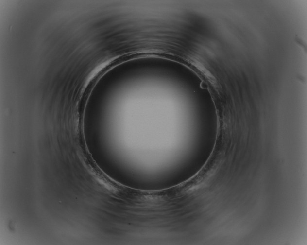 X0000092310933200709141350