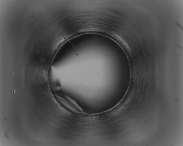 X0000092310937200709141350