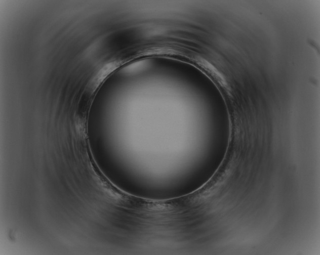 X0000092310945200709141350
