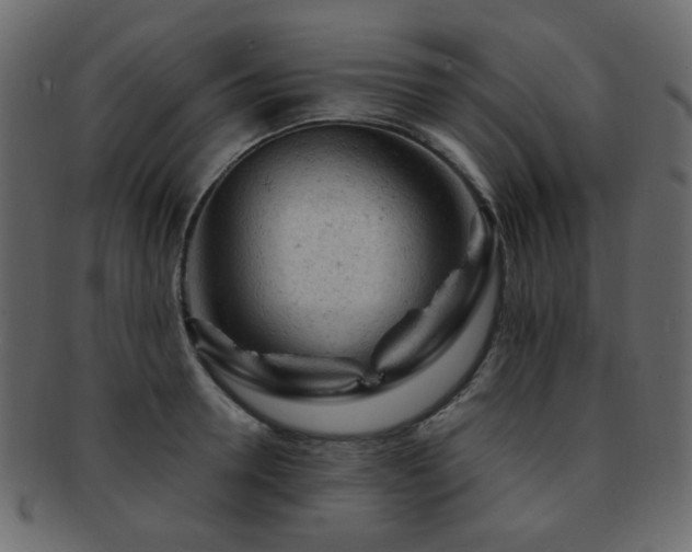 X0000092310946200709141350