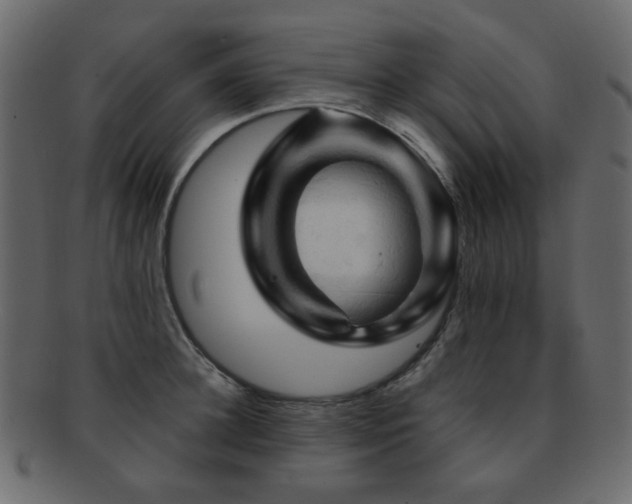 X0000092310948200709141351