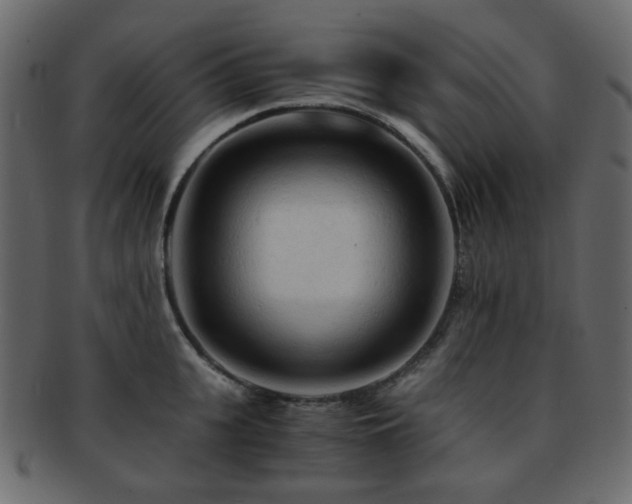 X0000092310951200709141351