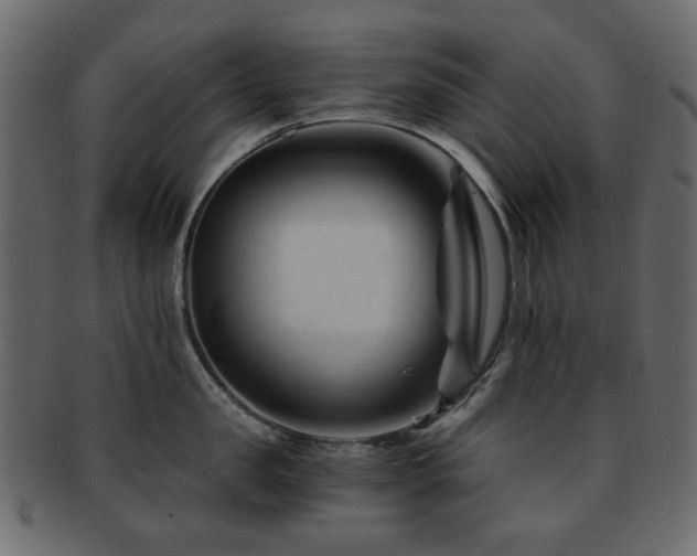 X0000092310957200709141351