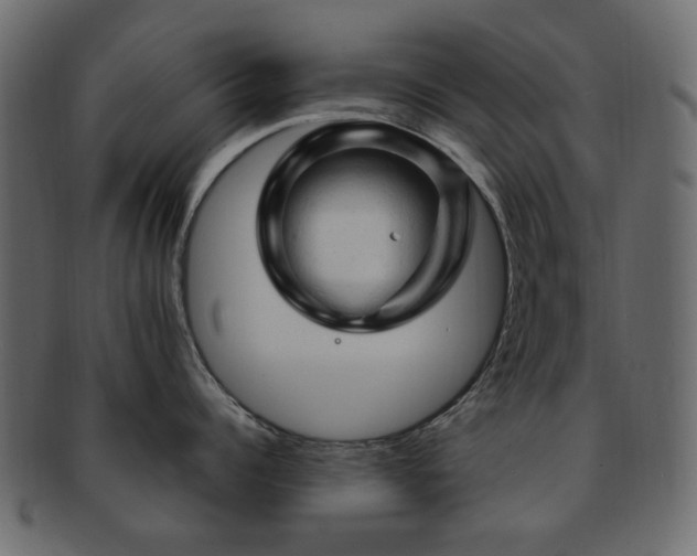 X0000092310960200709141351