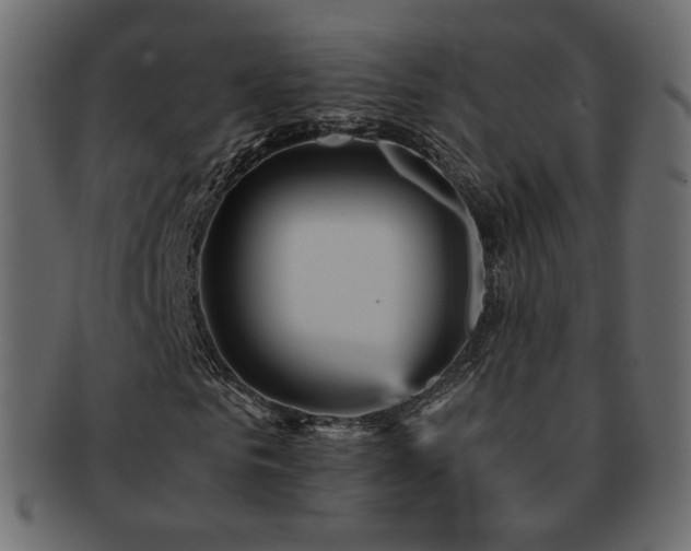 X0000092310961200709141350