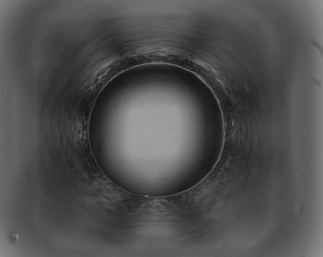 X0000092310966200709141350