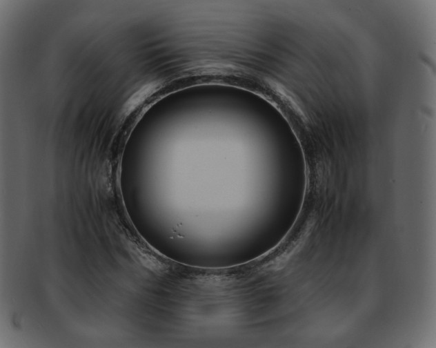 X0000092310970200709141350