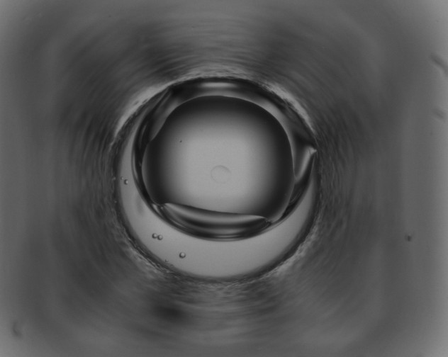 X0000092310973200709141350