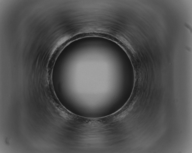 X0000092310974200709141350