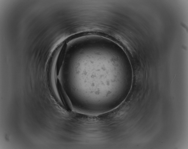 X0000092310975200709141350