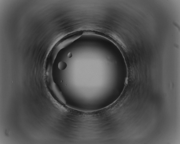 X0000092310976200709141350