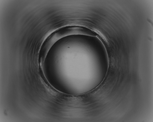 X0000092310980200709141350