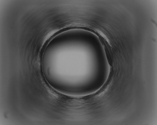 X0000092310981200709141350