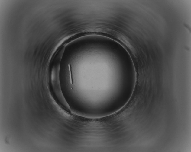 X0000092310984200709141350