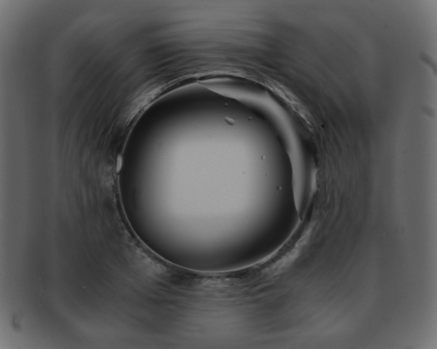 X0000092310985200709141350