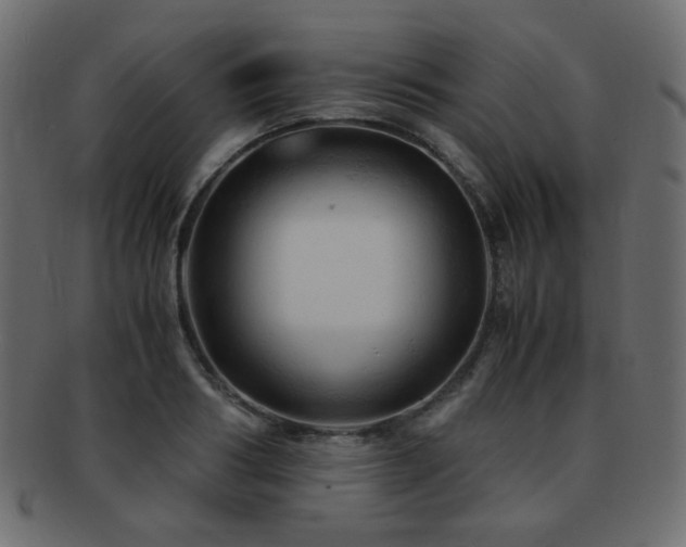X0000092310986200709141350