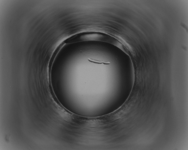 X0000092310988200709141350
