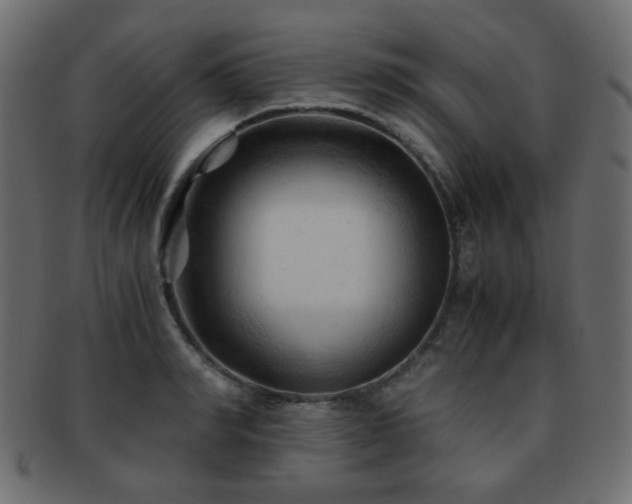 X0000092310990200709141350