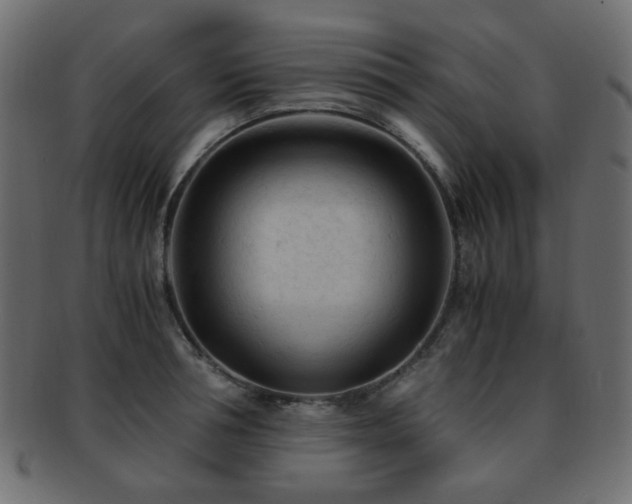 X0000092310994200709141350