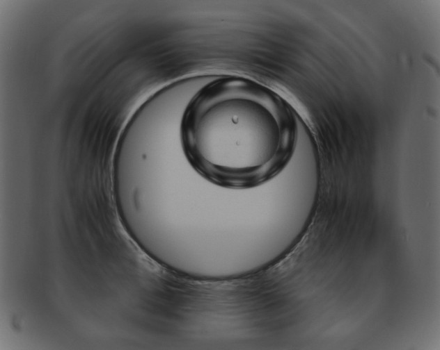 X0000092310996200709141349