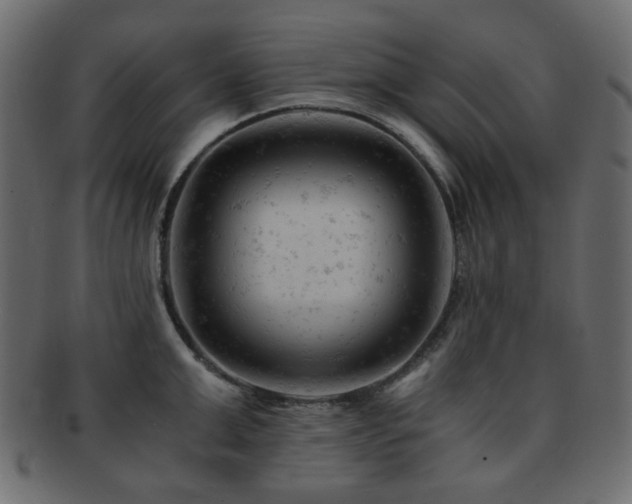 X0000092310999200709141349