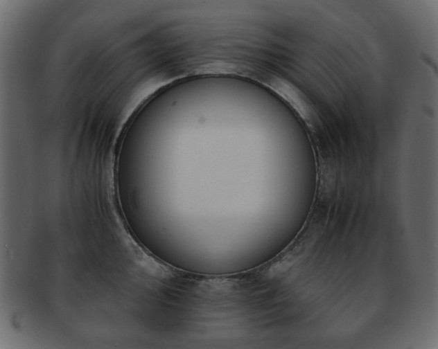X0000092311000200709141349