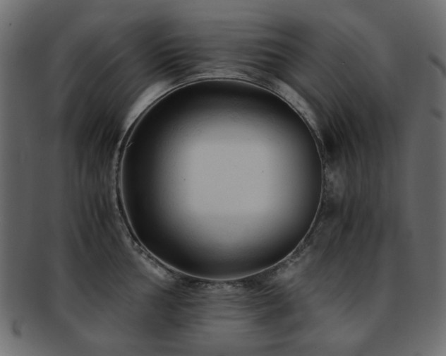 X0000092311002200709141349