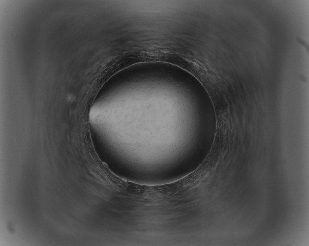 X0000092311009200709141349