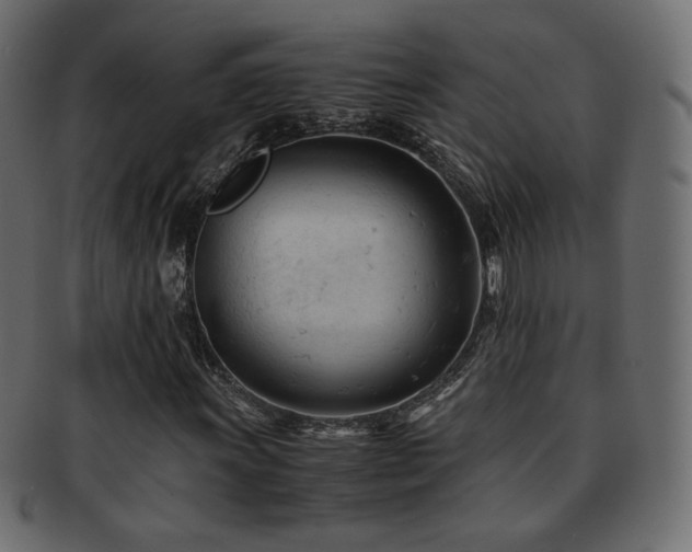 X0000092311011200709141349