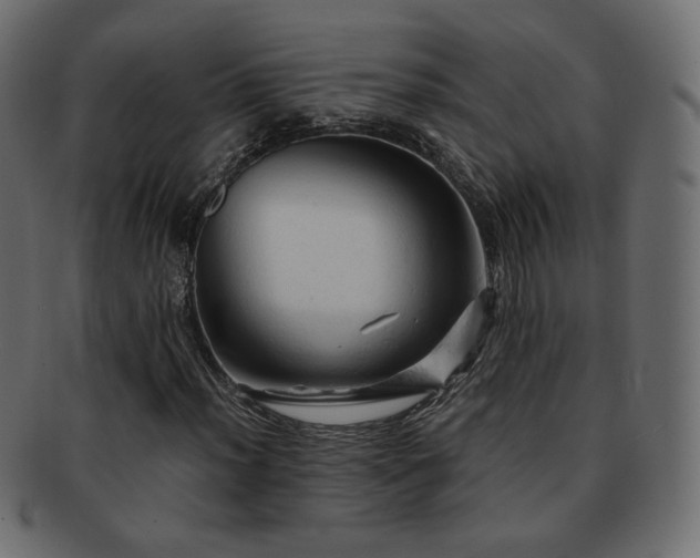X0000092311012200709141349