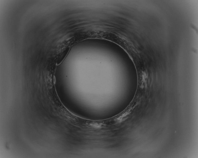 X0000092311013200709141349