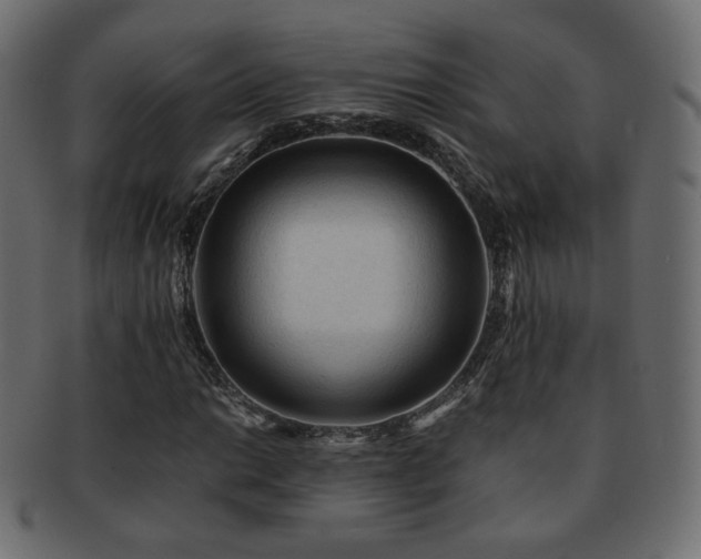 X0000092311014200709141349