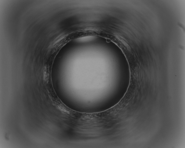 X0000092311015200709141349