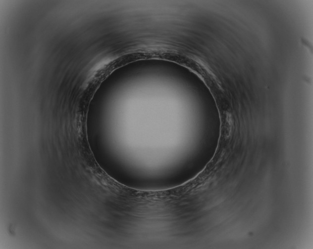 X0000092311016200709141349