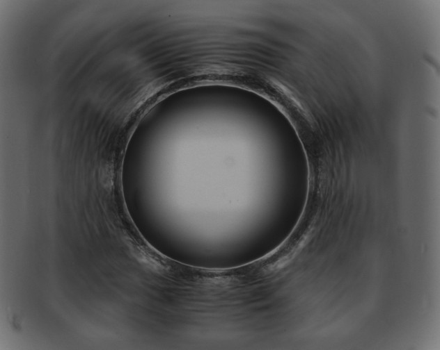 X0000092311017200709141349