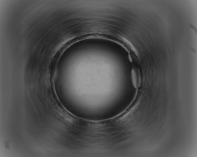 X0000092311019200709141349