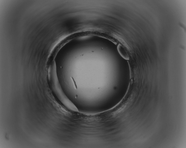 X0000092311021200709141349