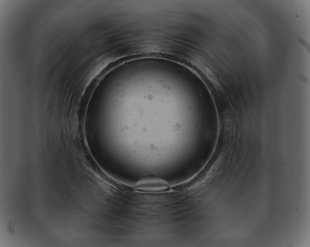 X0000092311023200709141349