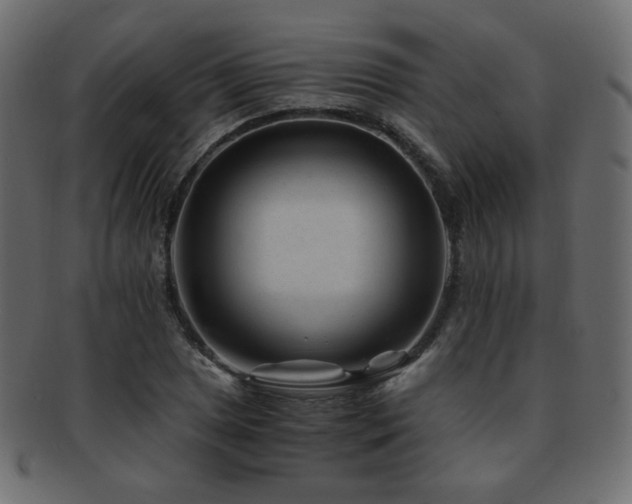 X0000092311025200709141349