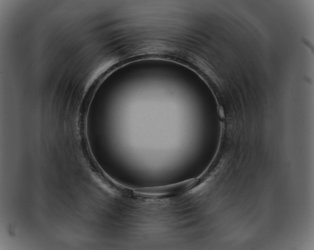 X0000092311026200709141349