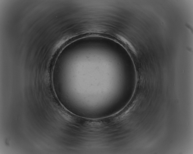 X0000092311027200709141349